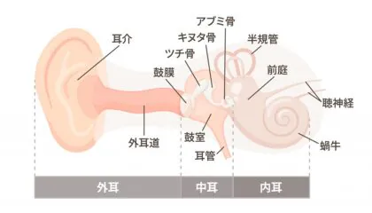 耳の病気