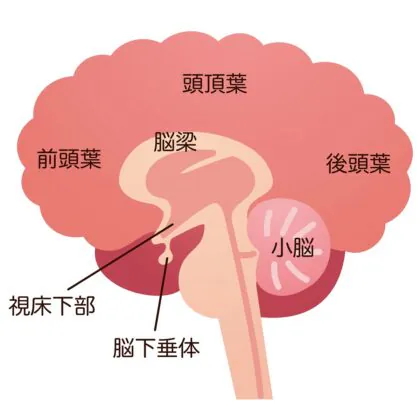 脳の病気