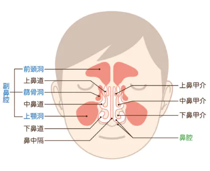 副鼻腔炎