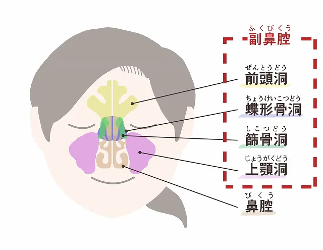 膿が溜まる部位によって痛みの場所が異なる